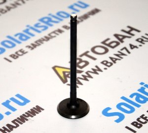 Клапан впускной Спектра ADDAX-Q Клапан впускной Spectra