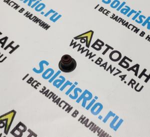Колпачки маслосъемные 2.0, 2.4 G4NA, G4ND, G4KD, G4KE, G4KJ Соната 8 (2019-2025) Маслосъемный колпачок для Спортейдж (Sportage), Серато (Cerato), Оптима (Optima), Соната (Sonata), АйИкс35 (IX35), Туксон (Tucson), Крета (Creta), Элантра (Elantra)