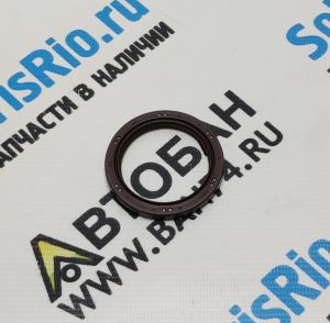 Сальник коленвала передний 2.0 G4NA NU К5 (2019-2025) Сальник коленвала передний для Спортейдж (Sportage), Серато (Cerato), Оптима (Optima), Соната (Sonata), АйИкс35 (IX35), Туксон (Tucson), Крета (Creta), Элантра (Elantra)